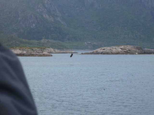 Hurtigruten_2015-06-25_17-55-1